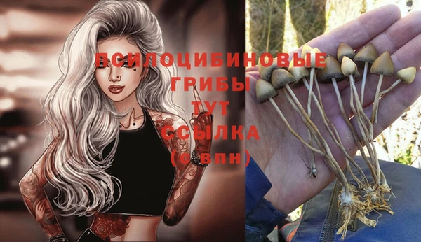 кокс Балабаново