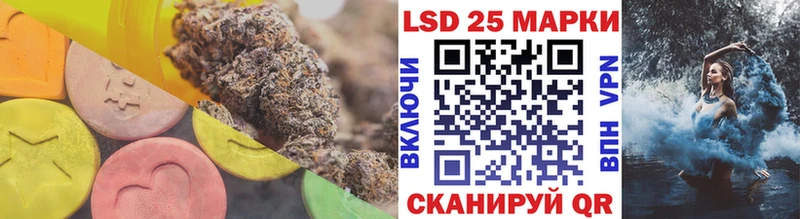 darknet телеграм Томари LSD-25 экстази ecstasy
